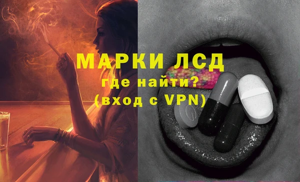 прущие грибы Алексин