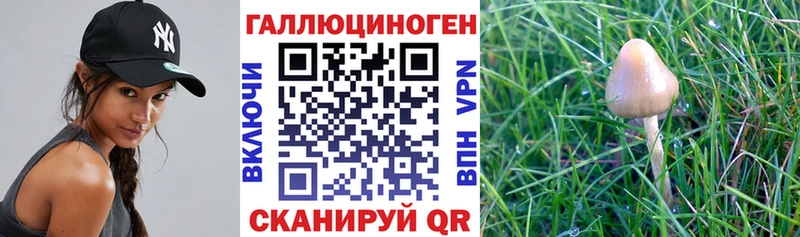 Псилоцибиновые грибы ЛСД  Карабаш 